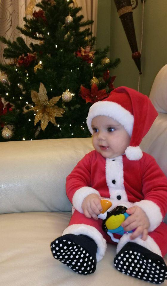 Agriturismo "La Collinetta"