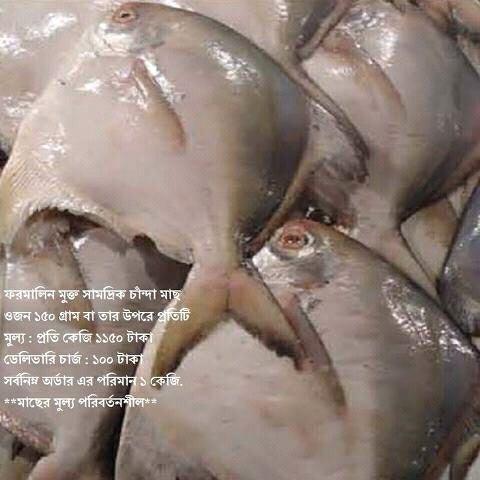 Bengal Sea Food