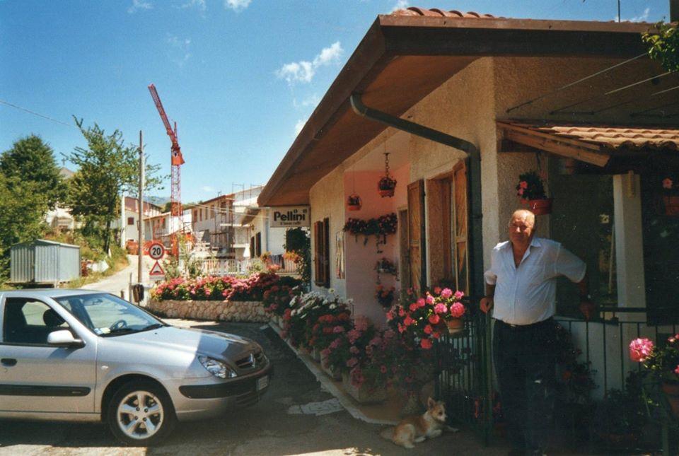 Pizzeria alla cesolina