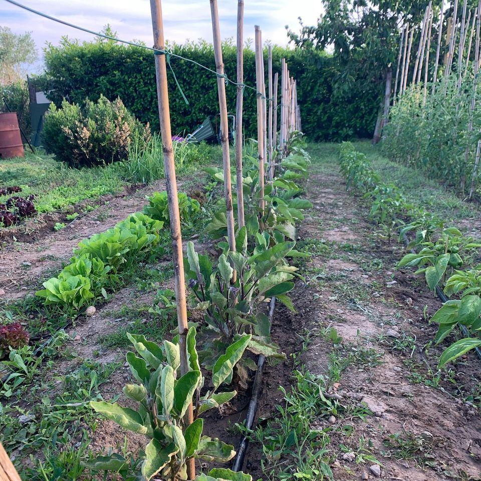la terrazza del Conte srl