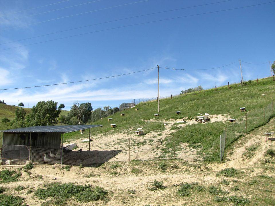 Agriturismo Caperroni