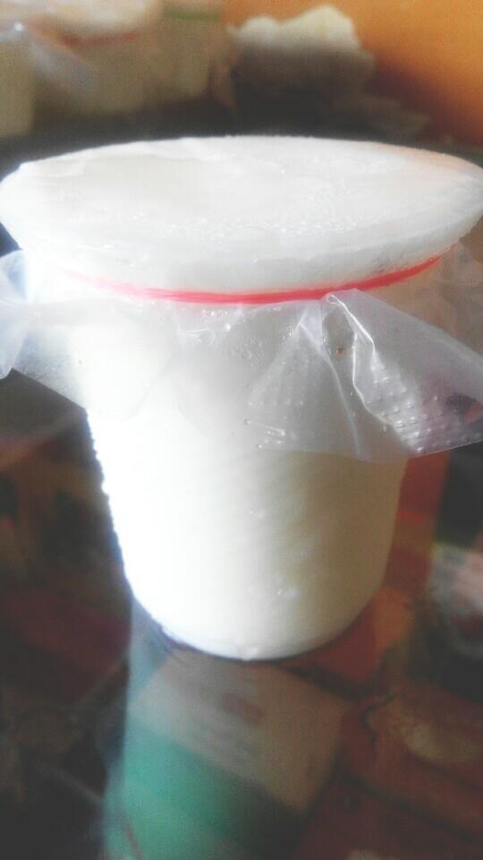 Shree Mewad Icecream Parlour