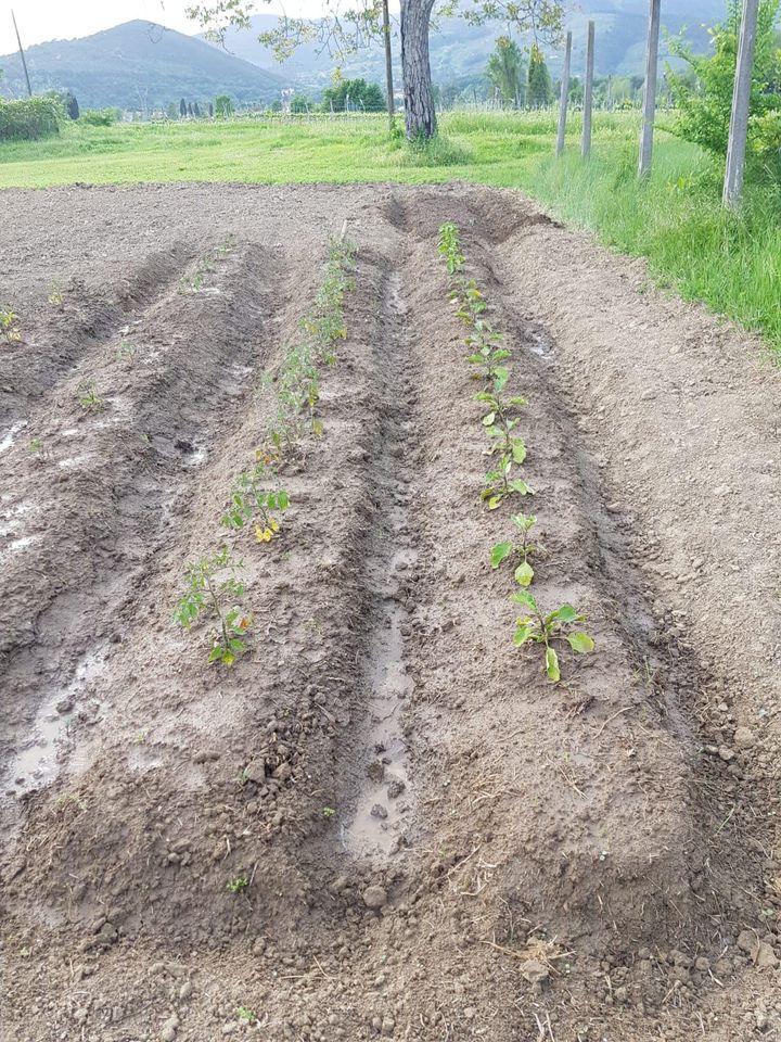 La Tavernetta Fornacette