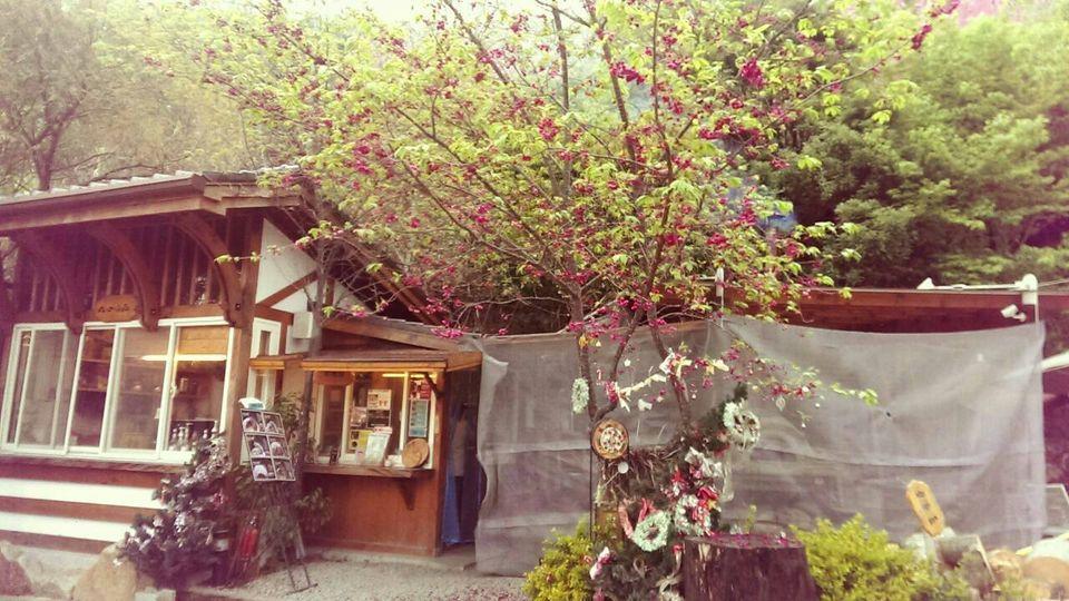 清境虫二小山窯烤工坊