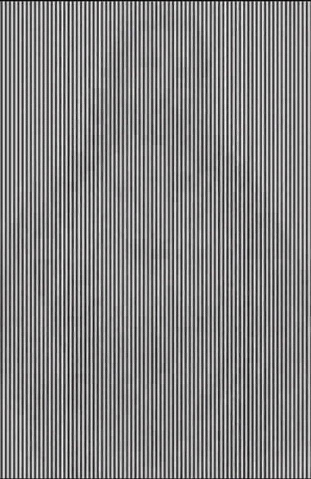 Mix Pizzaria E Lanchonete Capelinha MG