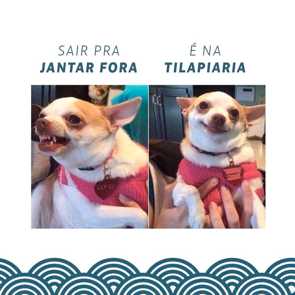 Tilapiaria Restaurante de Peixes