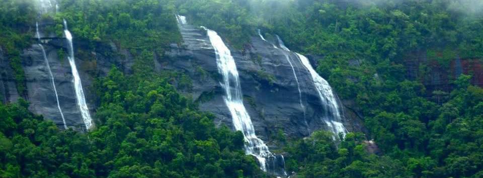 Fios da Terra Bistrô - Cozinha Artesanal