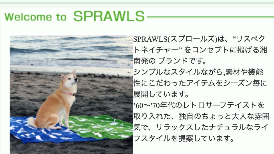 シェルター