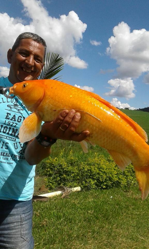 Pesqueiro Chapa Quente Muzambinho MG