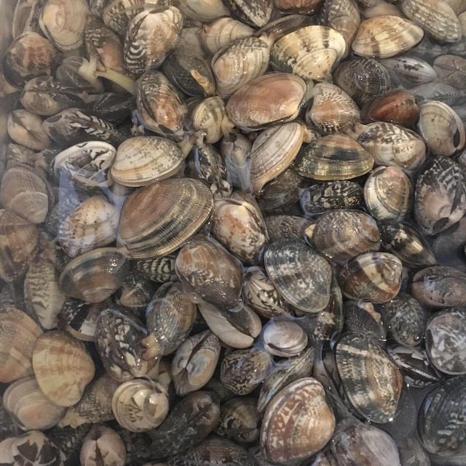 ２９１８（ニクジュウハチ）十勝ハーブ牛一頭買いの店　