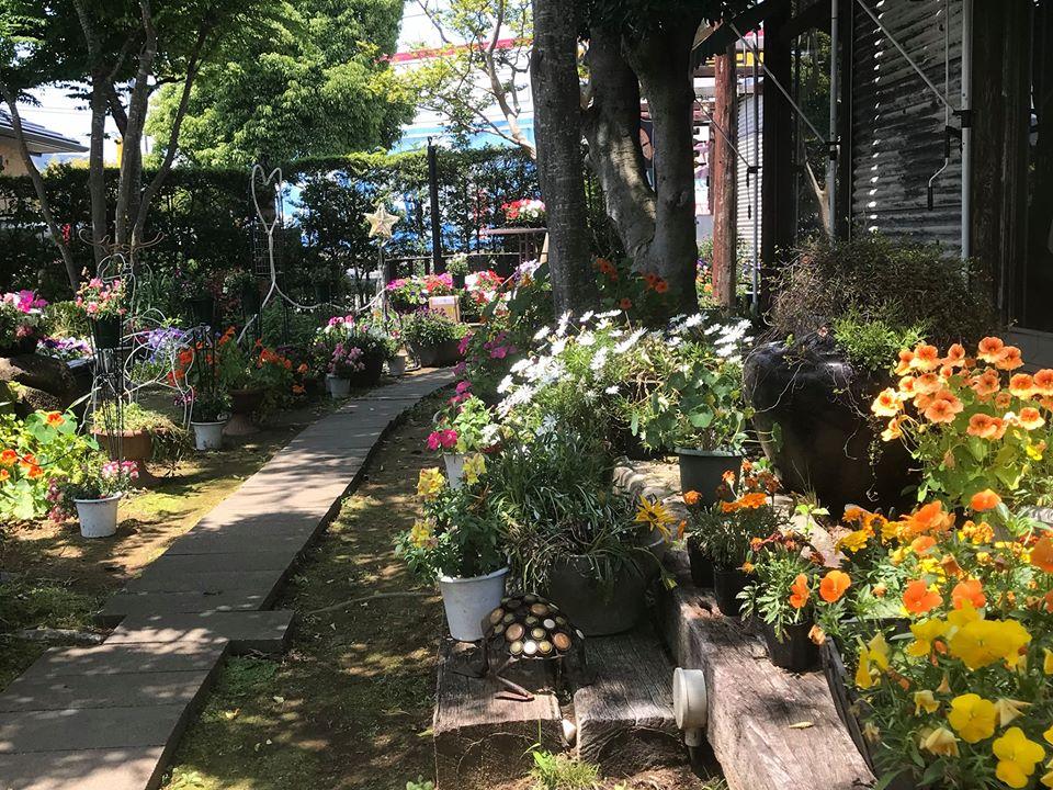 CaSa 鴨川