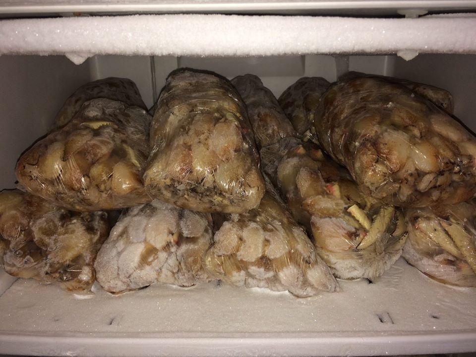 Pescados Pai D'égua Belem do Pará PA