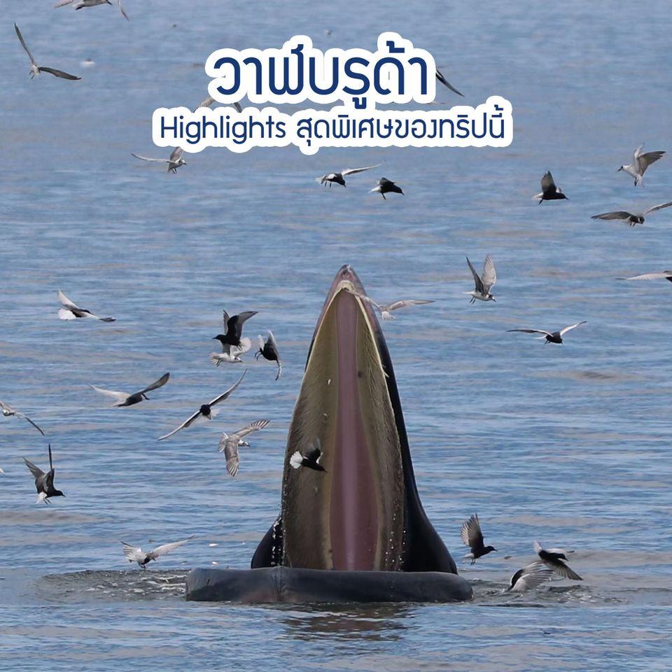 ร้านเจ๋ง ครัวชายทะเล Muang Samut Sakhon