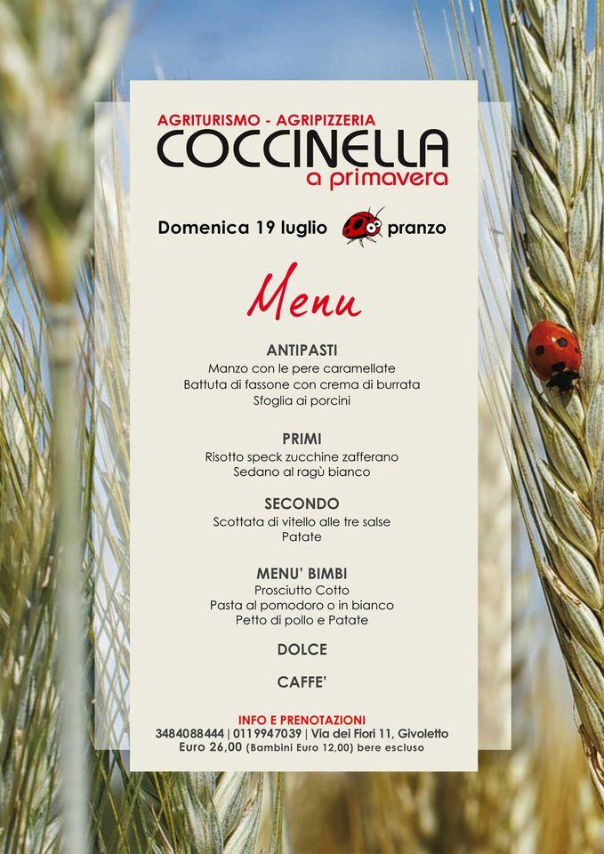 Coccinella A Primavera