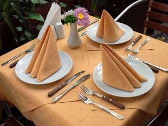 Ristorante degli Ulivi