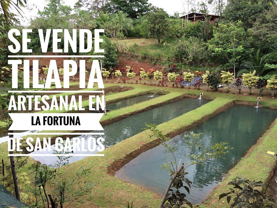 Complejo Turístico Tesoro Escondido