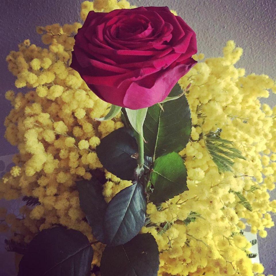 L'angolo della pizza