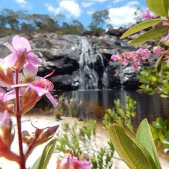 Cassule Restaurante Chalés Camping