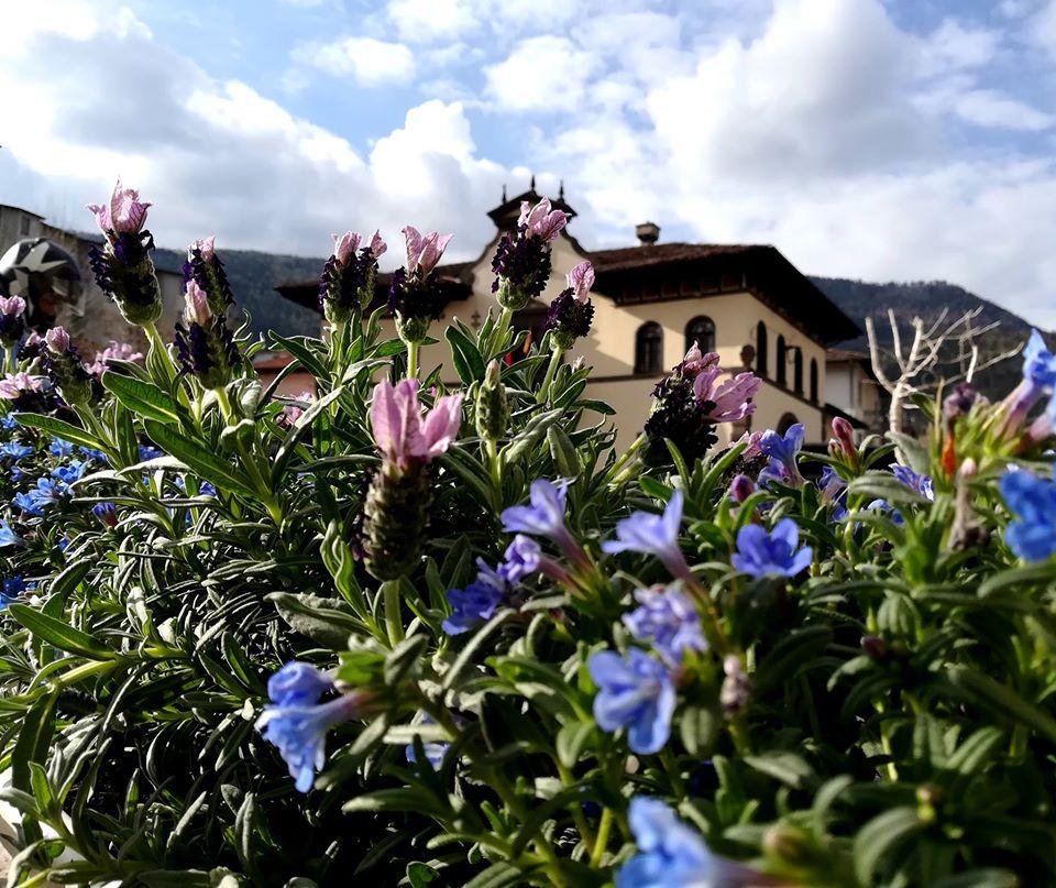 Bar cacciatore -l'aroma all'angolo