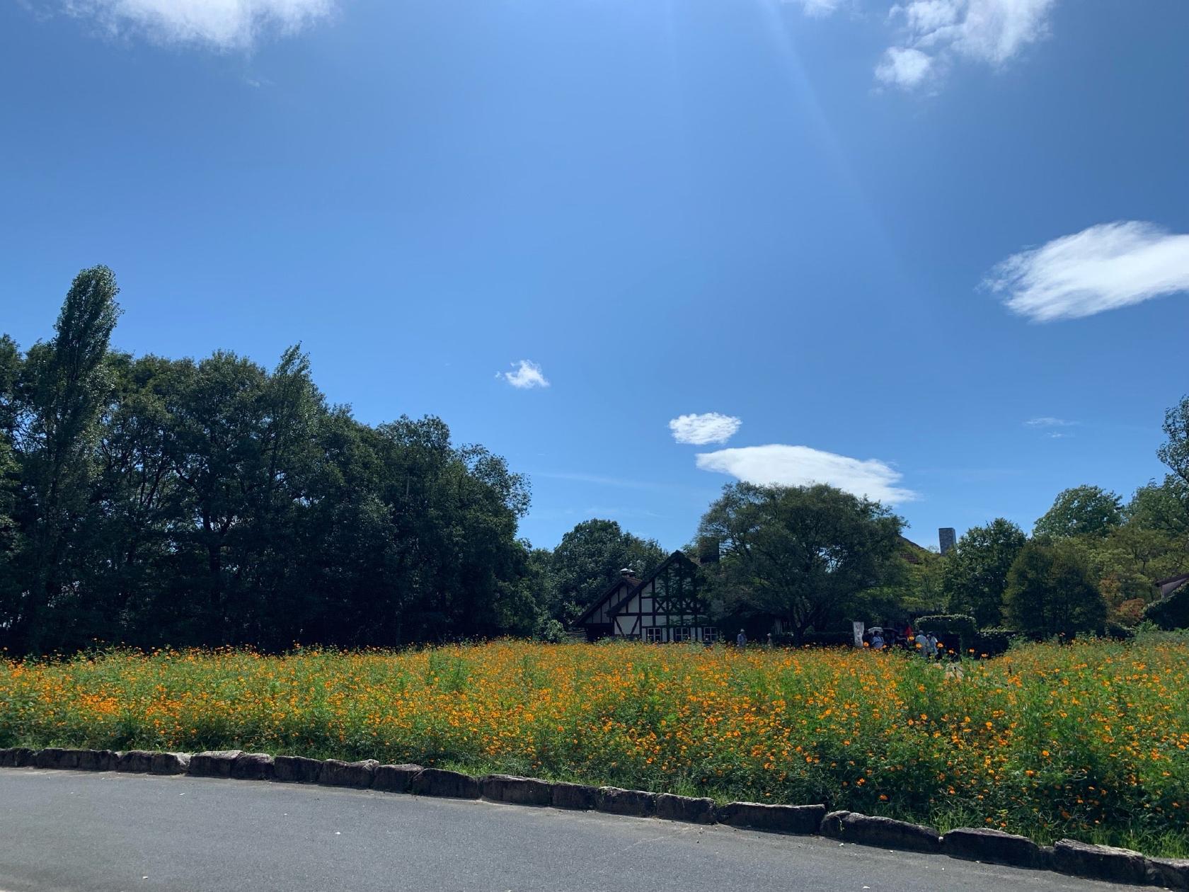 ドイツの森 石窯ピザ工房