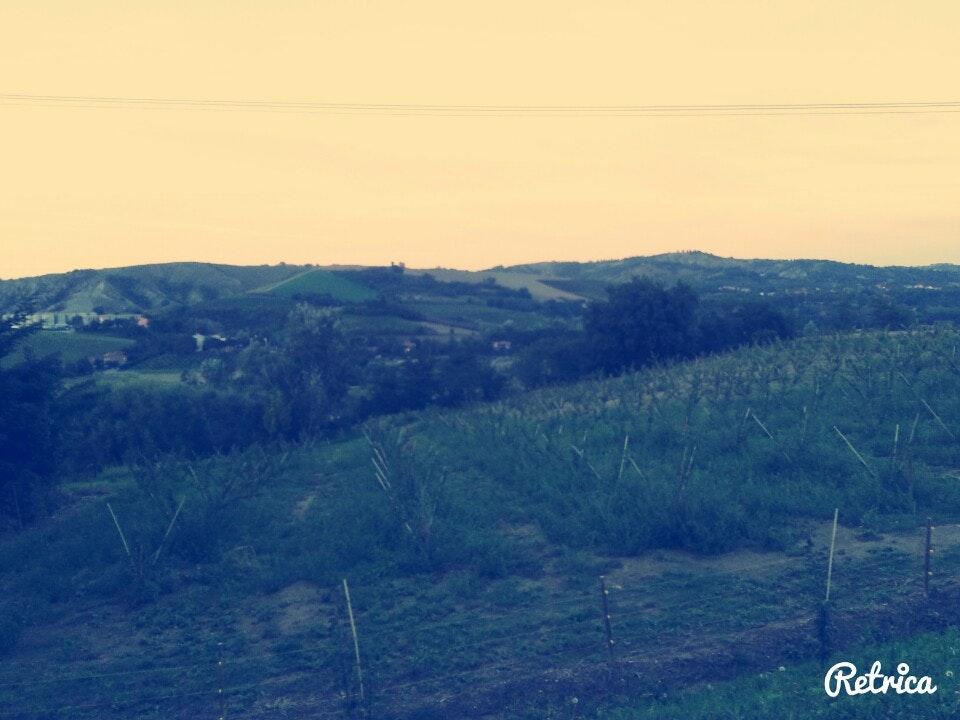 Agriturismo e Cantina Il Gualdo di Sotto