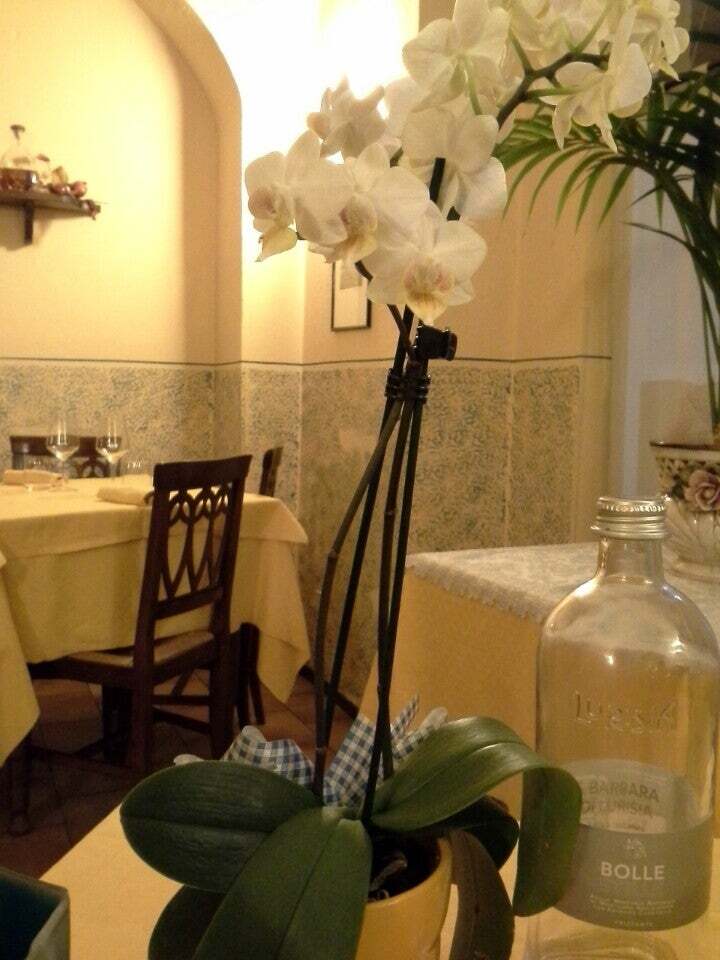 Il Ciarlocco