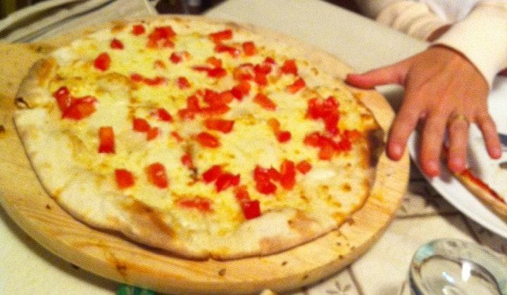 Il Cavalluccio Marino