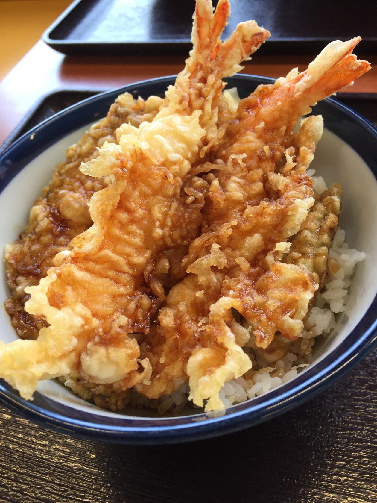 Tendon Tenya