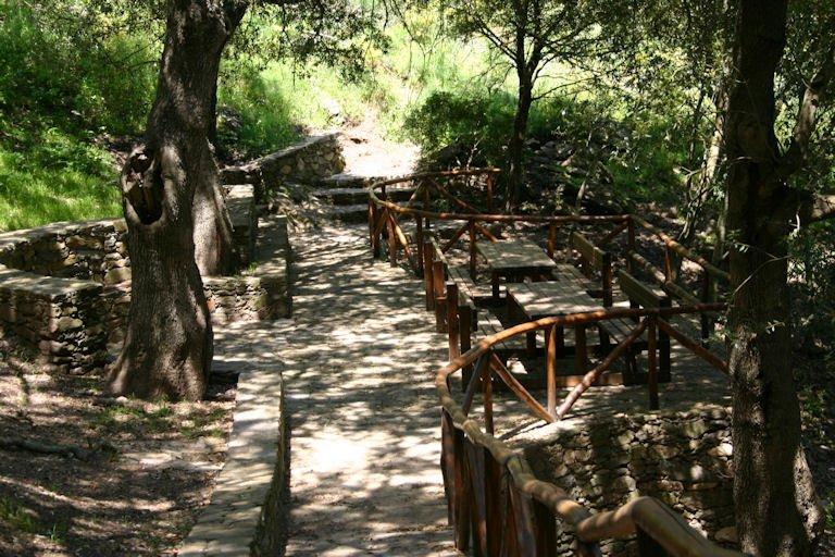 Sognasinara Soc.Coop