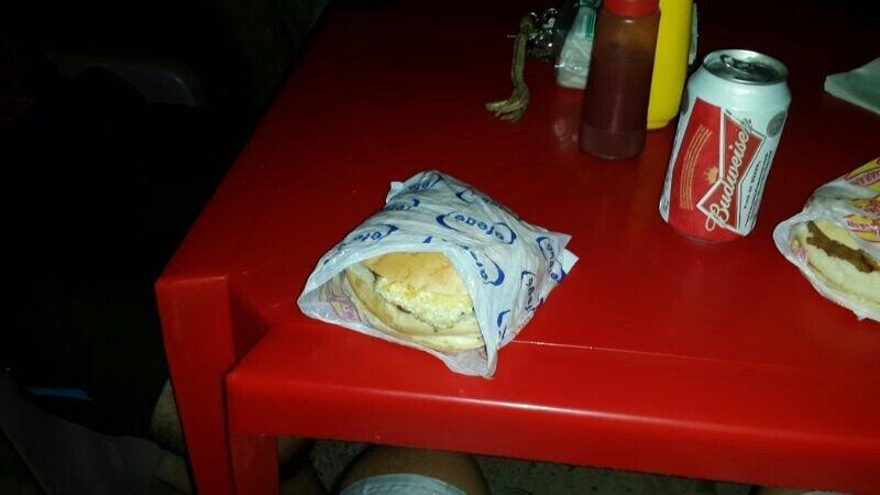 Crustáceo Cascarudo