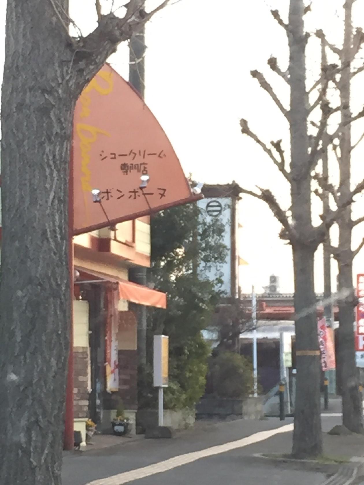 Bon bonne