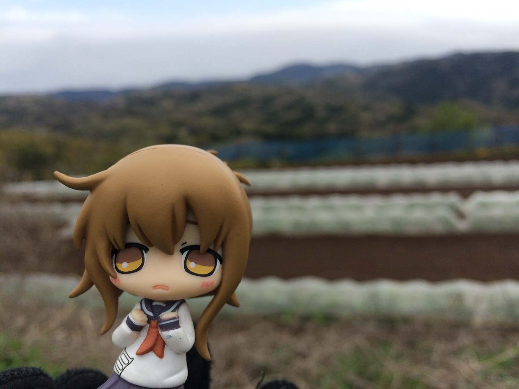 酒菜 福山