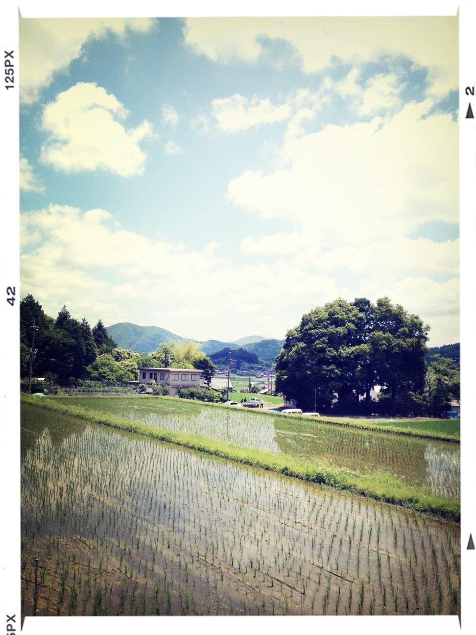 かわすみ