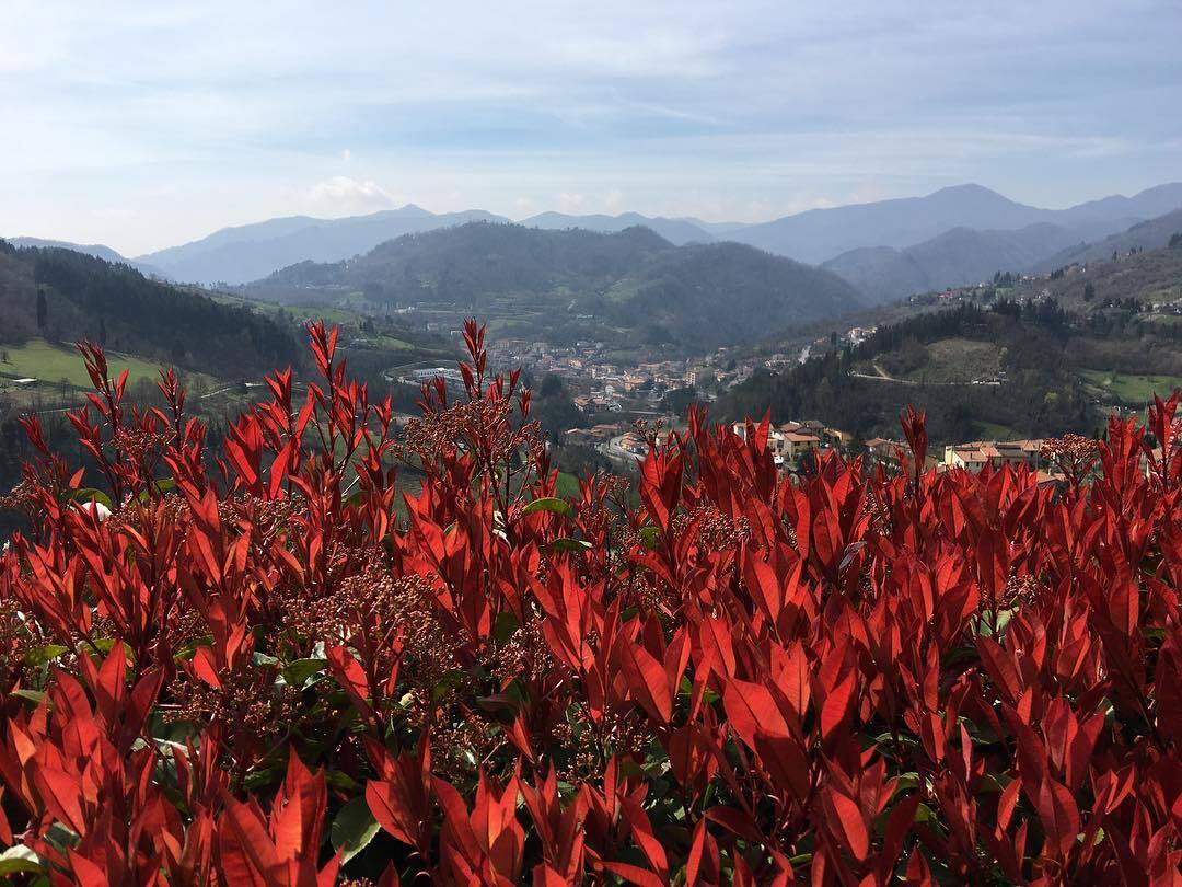 Agriturismo I Corboli