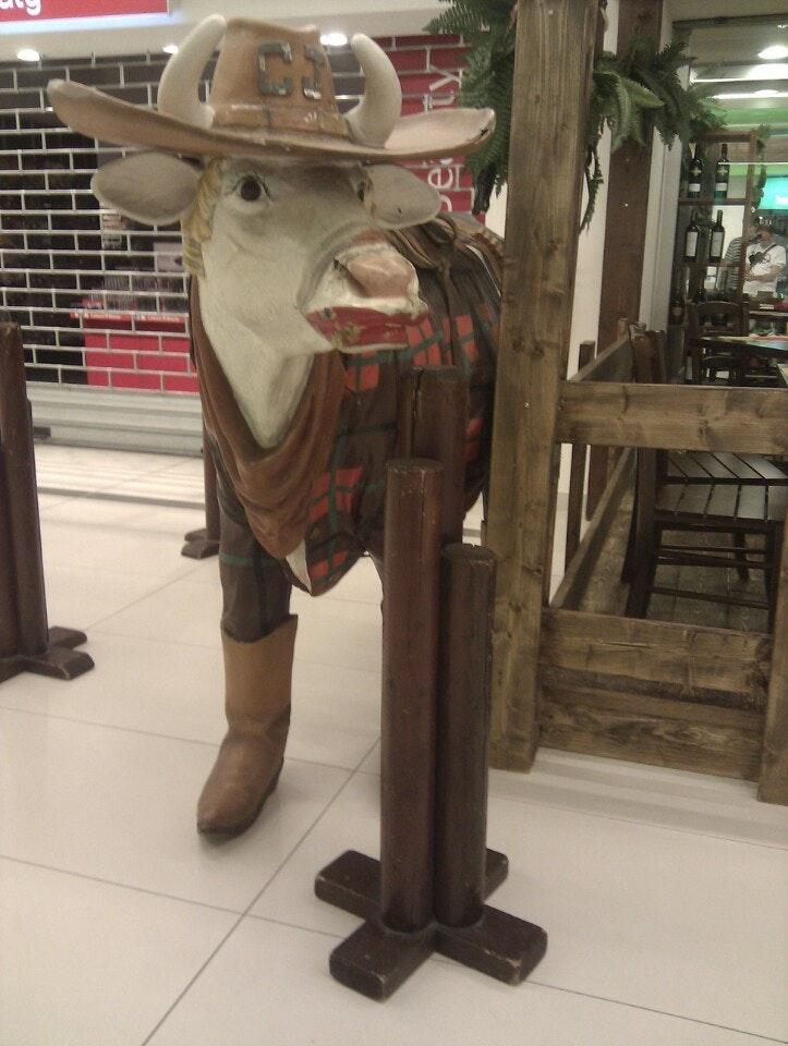 El Gringo Campo Argentino