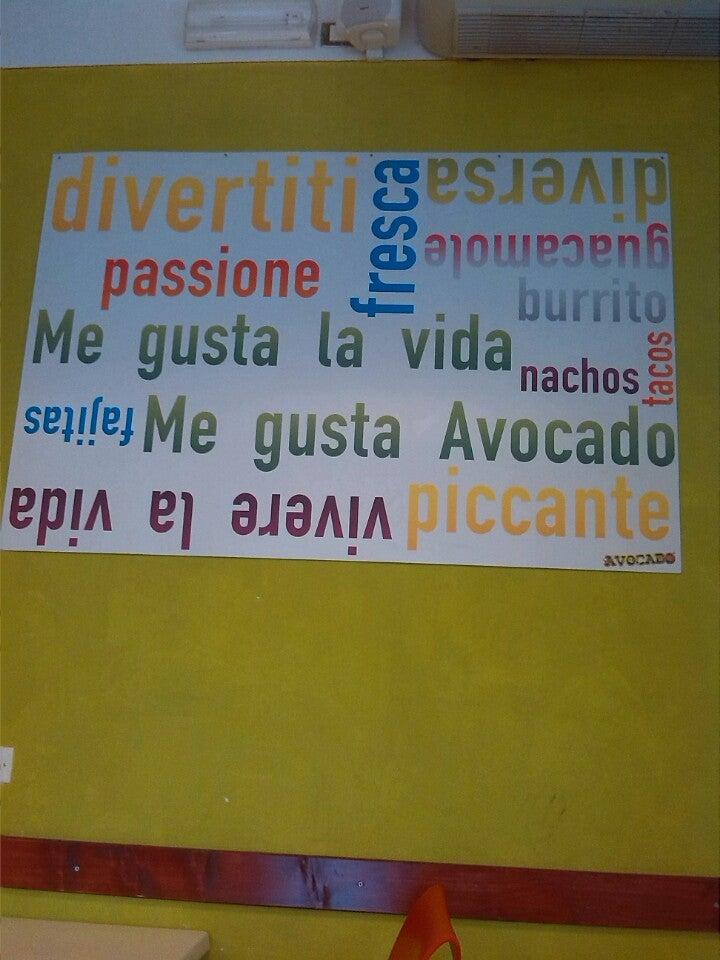 Avocado Mexican Grill