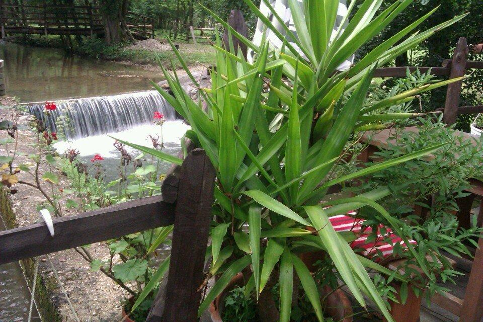 Izletište Kršlinov mlin