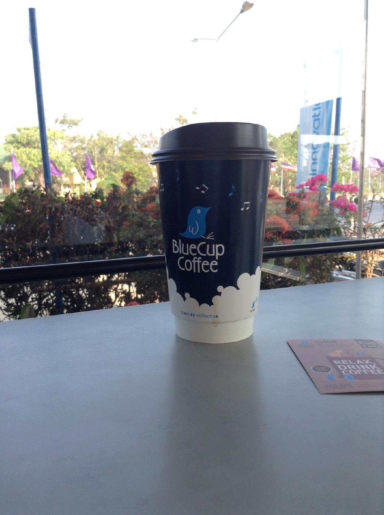 Bluecup Coffee (S&P)