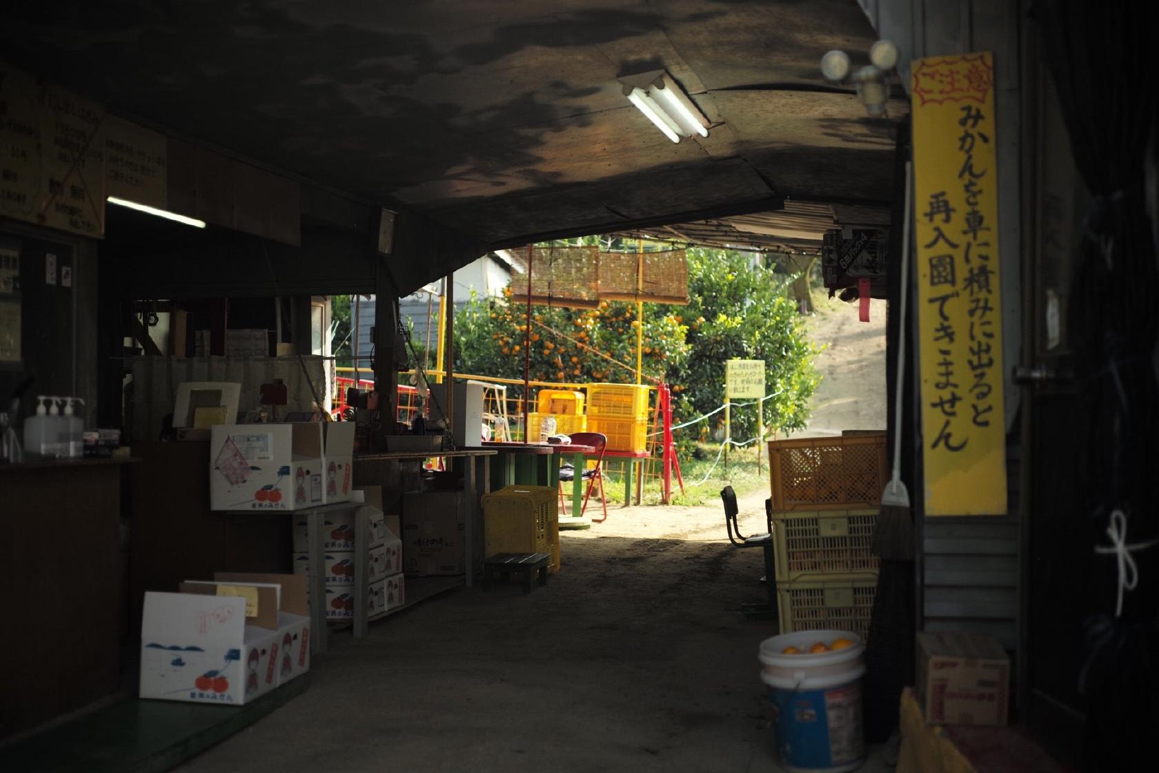 川西農園