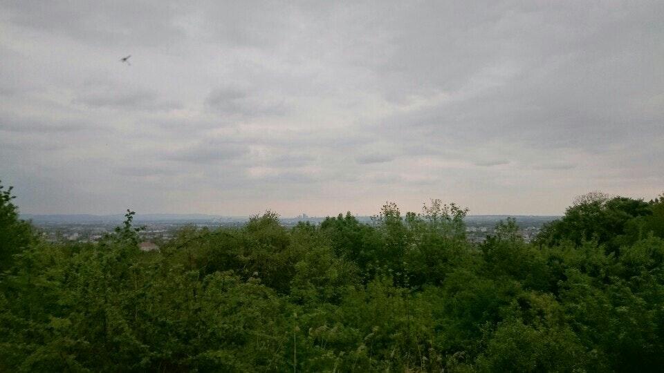 Panorama-Restaurant Haus an der Weinstraße