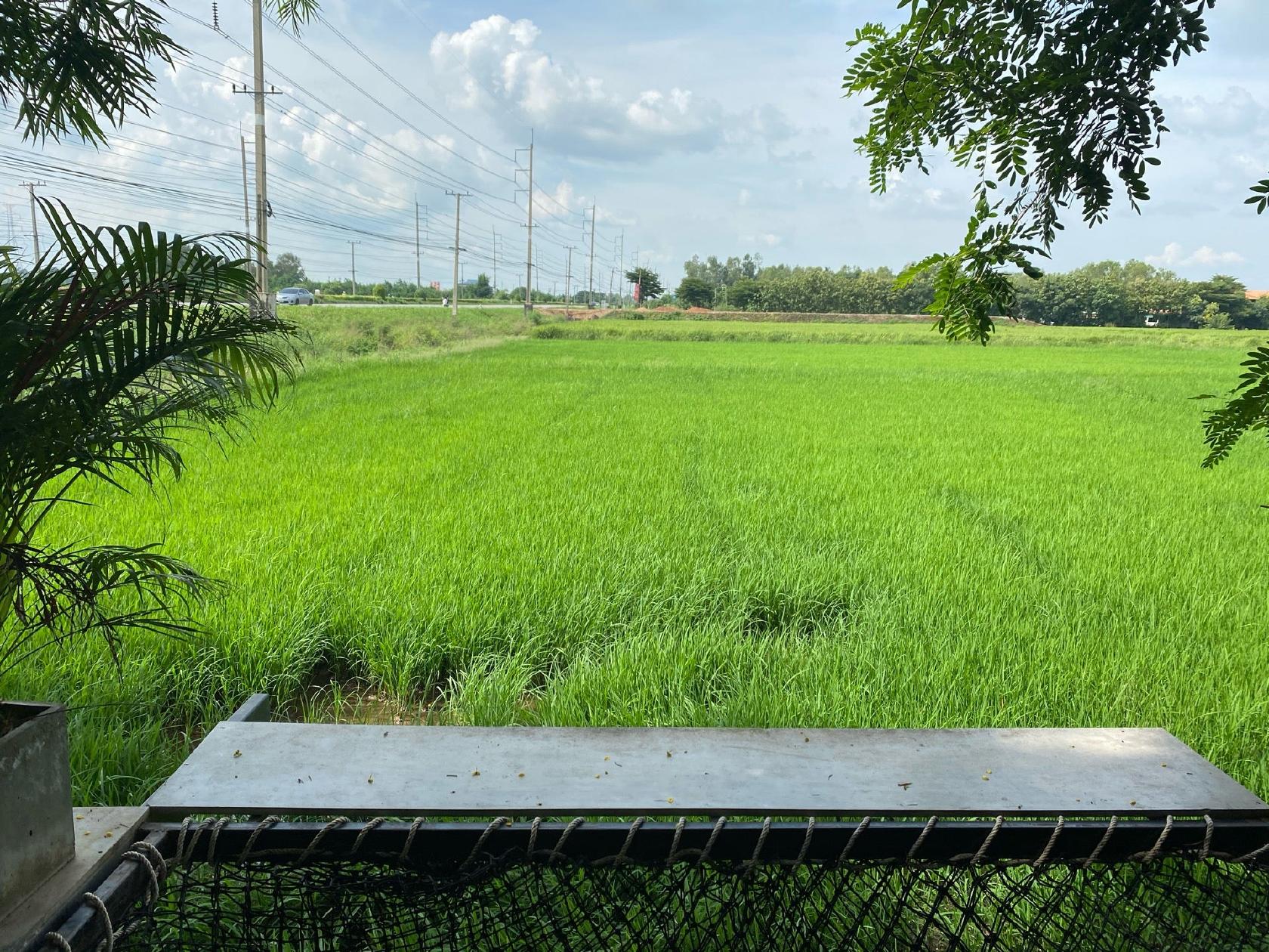 มันดี กล่อง กลาง ทุ่ง