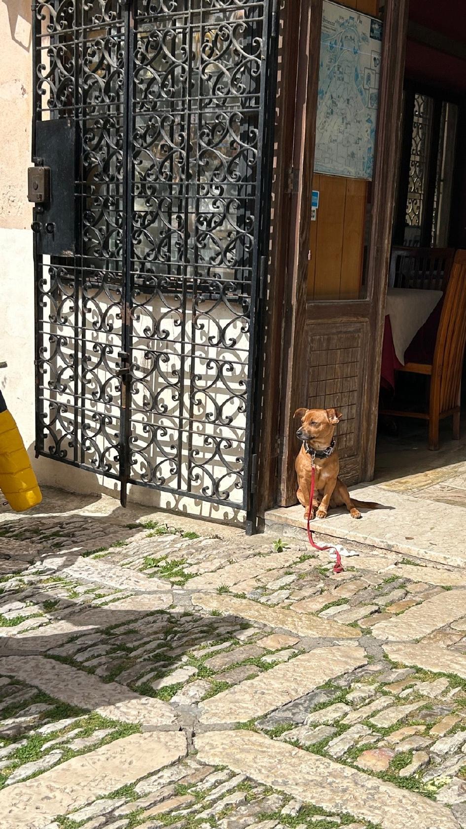 Bar Ristorante Veloce