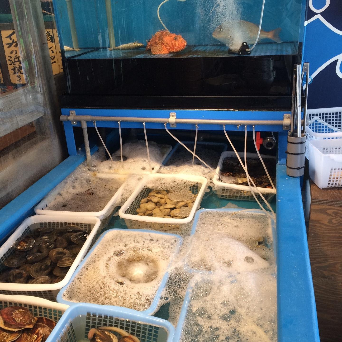 磯丸水産 高円寺純情商店街