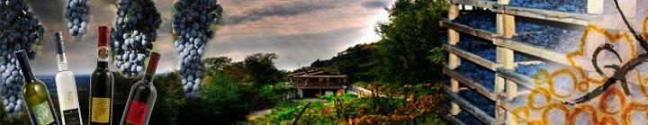 Cascina del Frances Bergamo