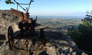 Bar Piadineria La Capanna