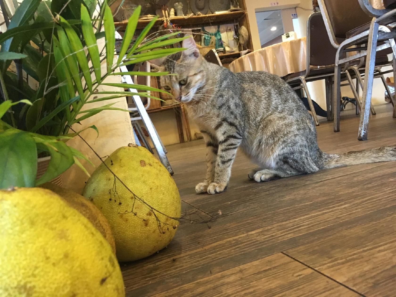 噶瑪蘭海產店