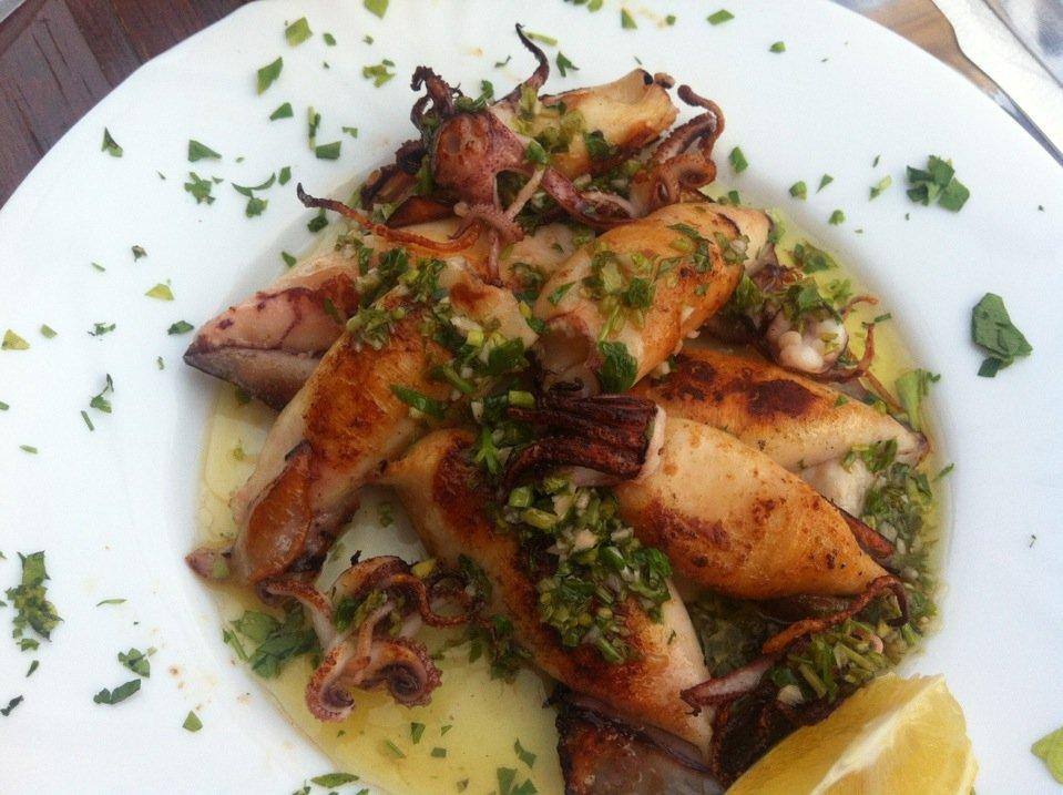 Fish Food Antonio