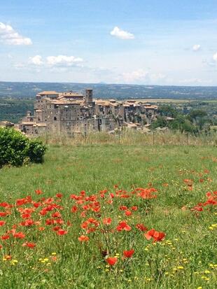 Agriturismo Le Querce