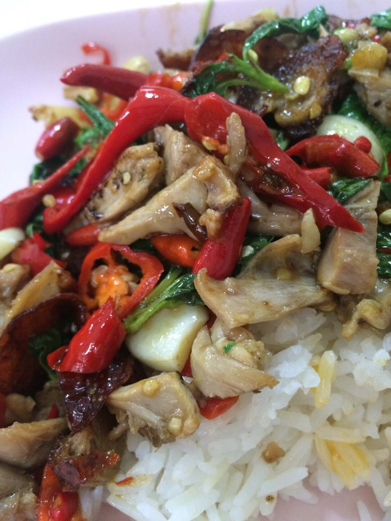 โตเป็ดย่าง