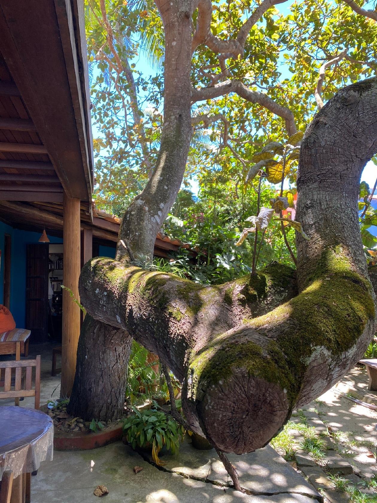 Paiol Confeitaria Artesanal